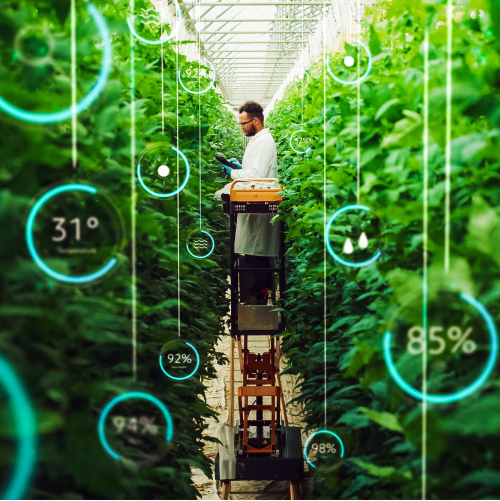 Cultivating a sustainable food ecosystem to feed the world responsibly